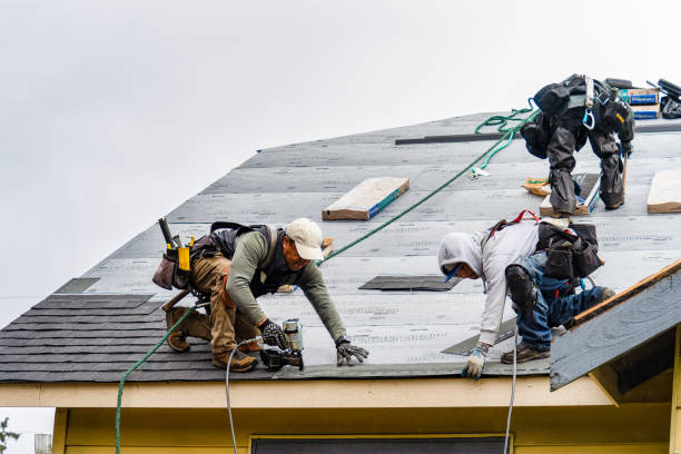 Professional Storm Damage Roof Repair technician working in Woodstock, NH